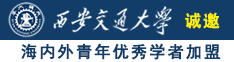 免费观看插逼视频网站诚邀海内外青年优秀学者加盟西安交通大学